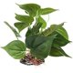 thumbnail image 1 of Aquarium Artificial Plant Plastic Plant - Fish Tank Lifelike Underwater Green Grass Plastic Plant, 10inch, 1 of 5