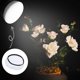 thumbnail image 5 of 10Pack 7 inches/180mm Soft White Diffuser Sock, Softens The Light Output, Perfect for Studio Strobe Reflector, Portrait, Product Photography and Video Shooting, 5 of 5
