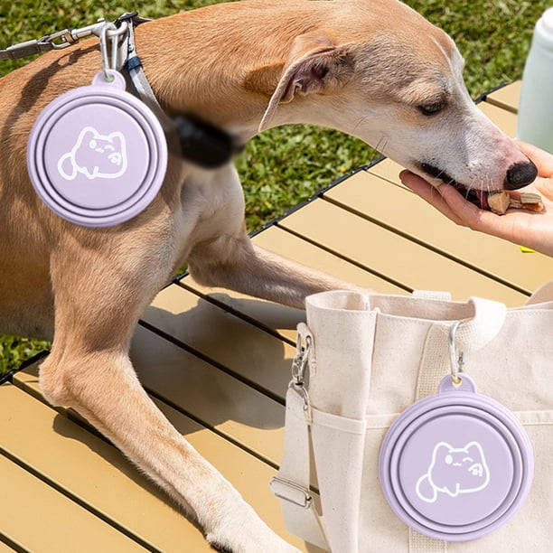 Comedero plegable de silicona para perros y gatos, cuenco portátil de silicona para exteriores, cuenco plegable de silicona para perros