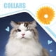 thumbnail image 3 of Billuyoard Collar amarillo del cono del gato de la forma de la flor de Sun fácil hecho del collar de la recuperación del animal doméstico de la Hábitats y jaulas para animales pequeños SG, 3 of 6