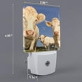 thumbnail image 2 of Cauagu Cows Cattles Print LED Nightlight,0.5W Night Lights Plug into Wall 1 Pack with Dusk-to-Dawn Light Sensor Soft Glow Lamp for Bathroom Adult Hallway-EU, 2 of 7