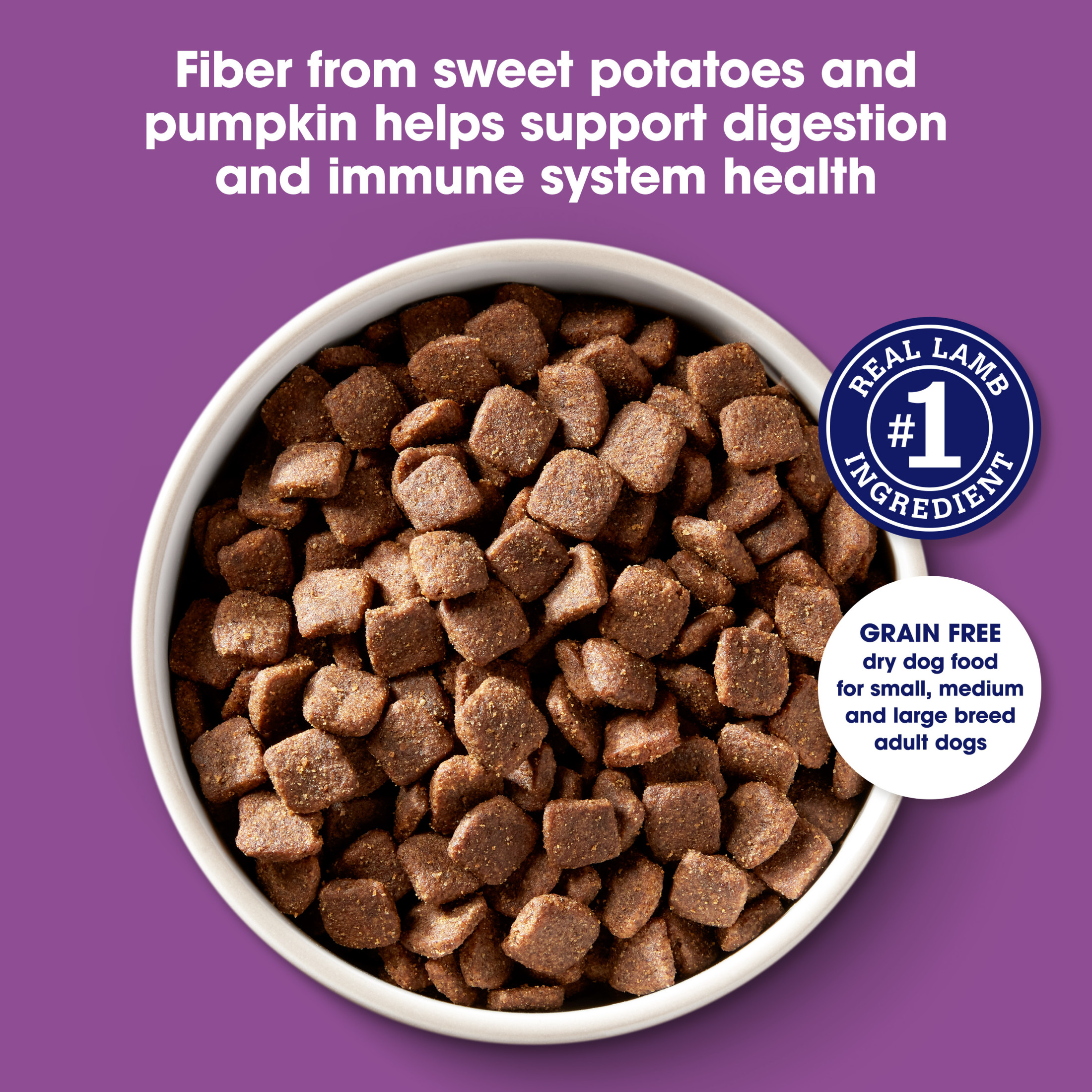 Nature's Recipe Grain-Free Lamb Sweet Potato Pumpkin Dog Food photo 3