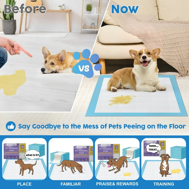 How to Train a Dog to Pee on the Pad: Easy Steps for Success