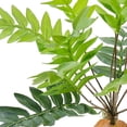 thumbnail image 3 of UPGRATOR Planta Decorativa Para De Reptiles Con Base Pesada Para Mayor Estabilidad, 3 of 6