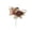 A, variant on Kojanyu Christmas Floral Pick Decoration, Bauble Foliage Sprig Pick for Tree Wreath Vase Indoor Festive Home Decor.