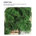 thumbnail image 3 of Inteprter 300g Artificial musgo falso secado verde ladrillo liquen bloque plantas decorativas jardín centros de terrarios Decoración Plantas Artificiales Inteprter HA084196-00, 3 of 6