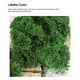 thumbnail image 2 of Advancent 300g Artificial musgo falso secado verde ladrillo liquen bloque plantas decorativas jardín centros de terrarios Decoración Plantas Artificiales, 2 of 6