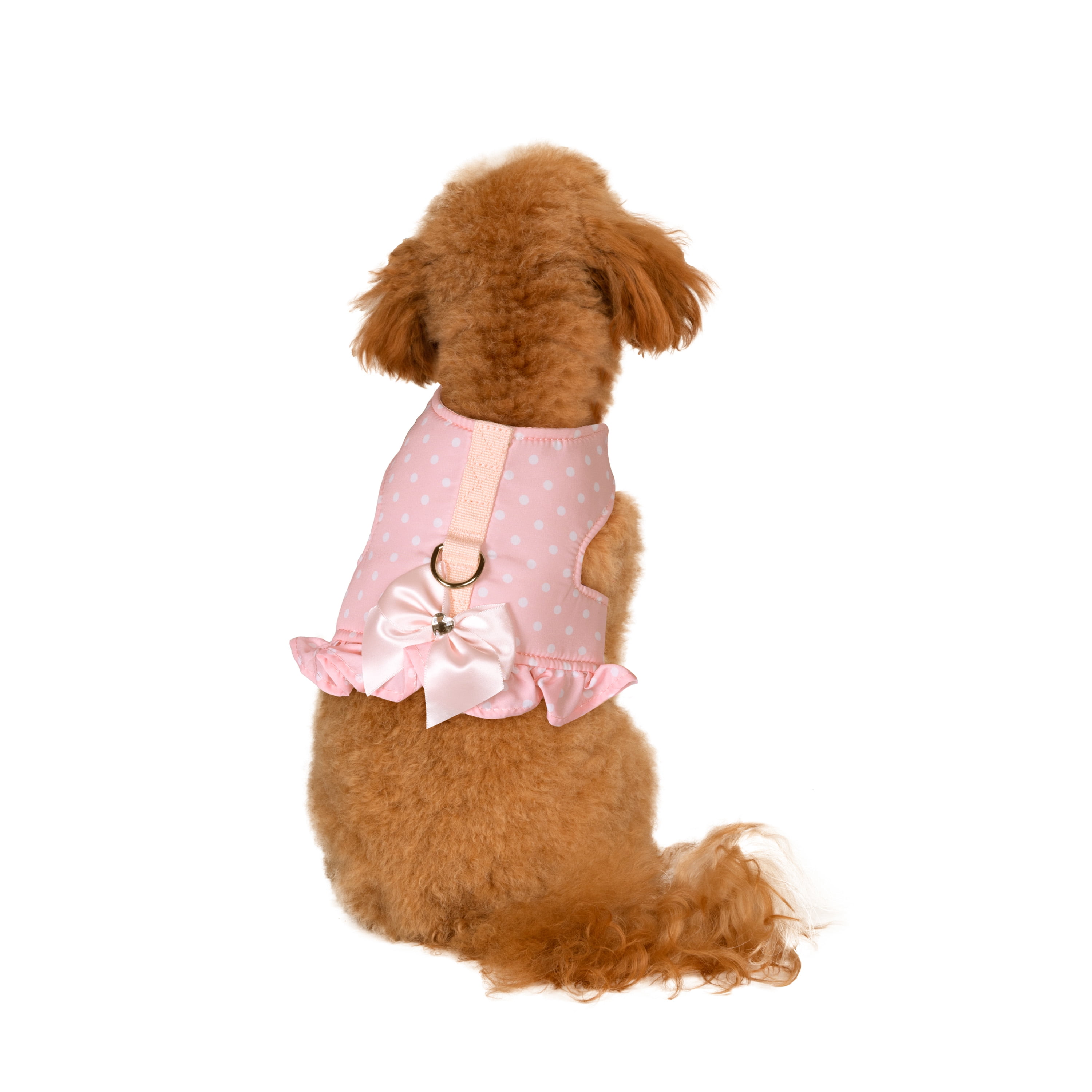 Xxs dog harness dress 2025