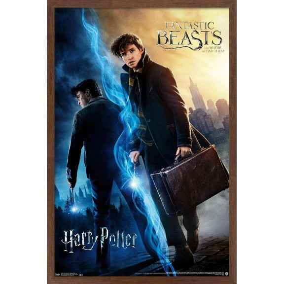 The Wizarding World: Harry Potter and Fantastic Beasts Wall Poster, 14.725" x 22.375", Framed