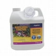 thumbnail image 1 of Laguna Bio Contrôle des Boues - 67oz., 1 of 1