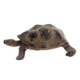 thumbnail image 4 of OUSITAID 3.4inch Giant Tortoise Wild Life Animal Toy Turtle Figure 14601, 4 of 8