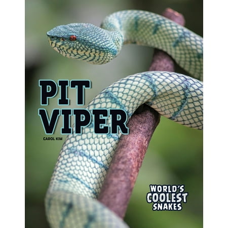 World's Coolest Snakes: Pit Viper (Paperback)