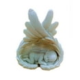 thumbnail image 1 of Baby Lying In Wings Statue, 1 of 1