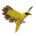 thumbnail image 4 of Artificial Decorations Craft Gift Ornaments Oriole Flying, 4 of 7
