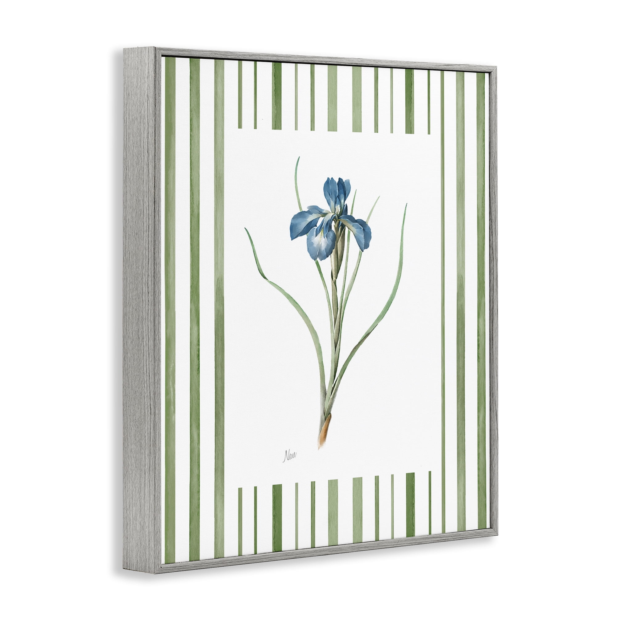 Stupell Industries Spring Iris And Stripes Gray Framed Giclee Art, design by Nan