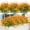 Orange, variant on PETGLE 16 Bundles Artificial Plants Outdoor Fake Grass Greenery Stems UV Resistant Faux Plastic Plants Shrubs for Spring Summer Garden Pathway Window Box Farmhouse Front Porch Home Decor, Orange