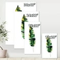 thumbnail image 4 of Designart ' Single Banana Leaf On White ' Bohemian & Eclectic Canvas Wall Art Print, 4 of 4