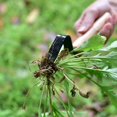 thumbnail image 5 of Hand Weeding Tools Garden Puller Weeding Knife Portable, 5 of 5