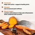 thumbnail image 3 of Pet Honesty Hip & Joint Turmeric Health - Joint Supplement for Dogs, Omega-3 Fish Oil, Turmeric to Support Overall Health & Ease Stiffness - Advanced Pet Mobility Support - 90 Ct (Pumpkin), 3 of 8