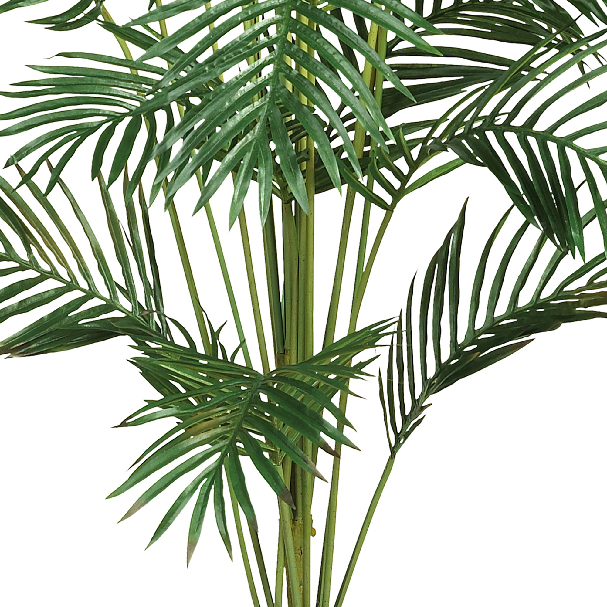 Nearly Natural 7' Paradise Palm Artificial Tree, Green - image 5 of 6