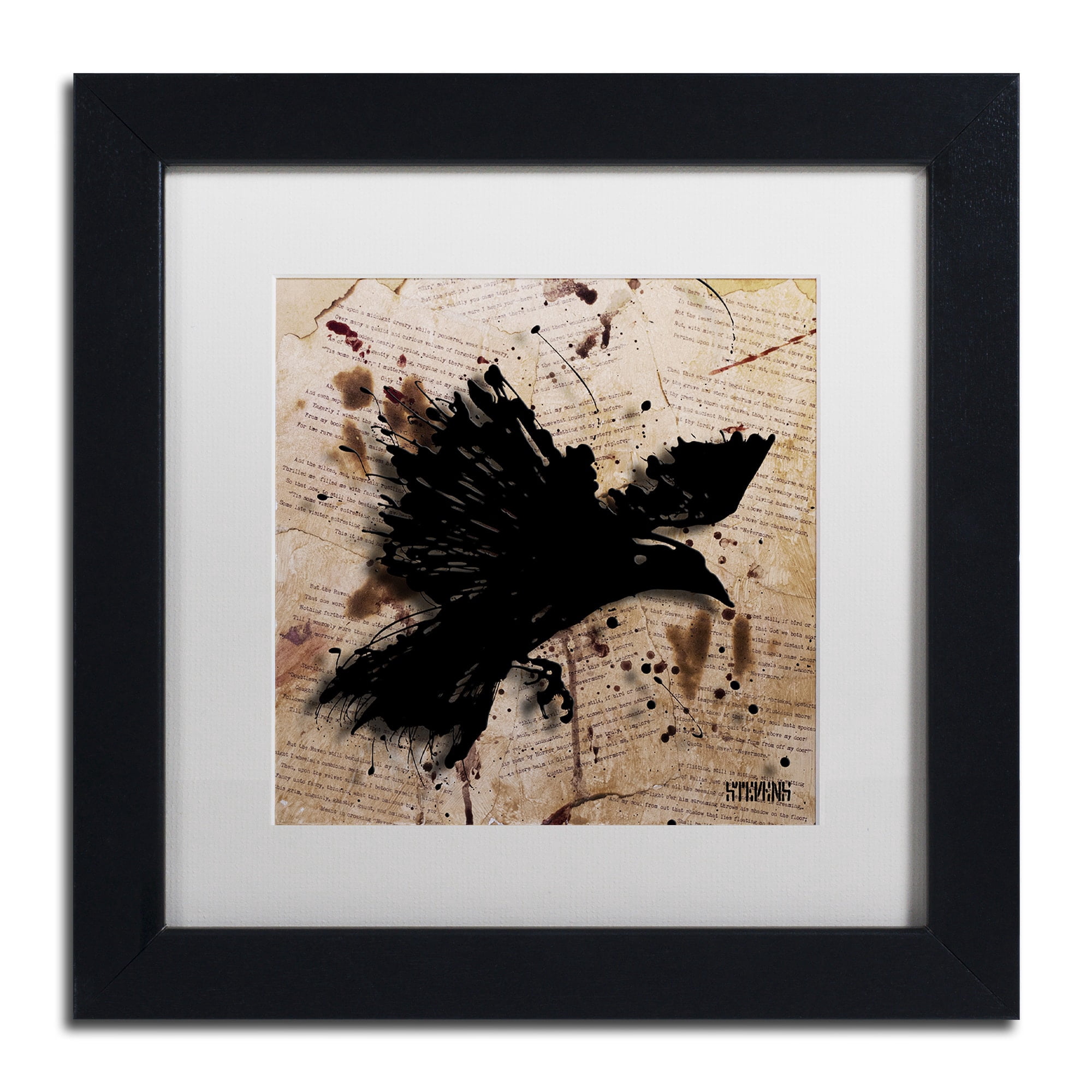 Trademark Fine Art "The Raven 1" Canvas Art by Roderick Stevens, White Matte, Black Frame