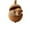 I, variant on DAMAI 26 Pcs Forest Animal Acorn Ornaments - 2026 New Cozy Forest Christmas Ornaments, Pine Cone Animals Decoration for Christmas Tree, Acrylic Acorns Hanging Ornament Home Party Décor