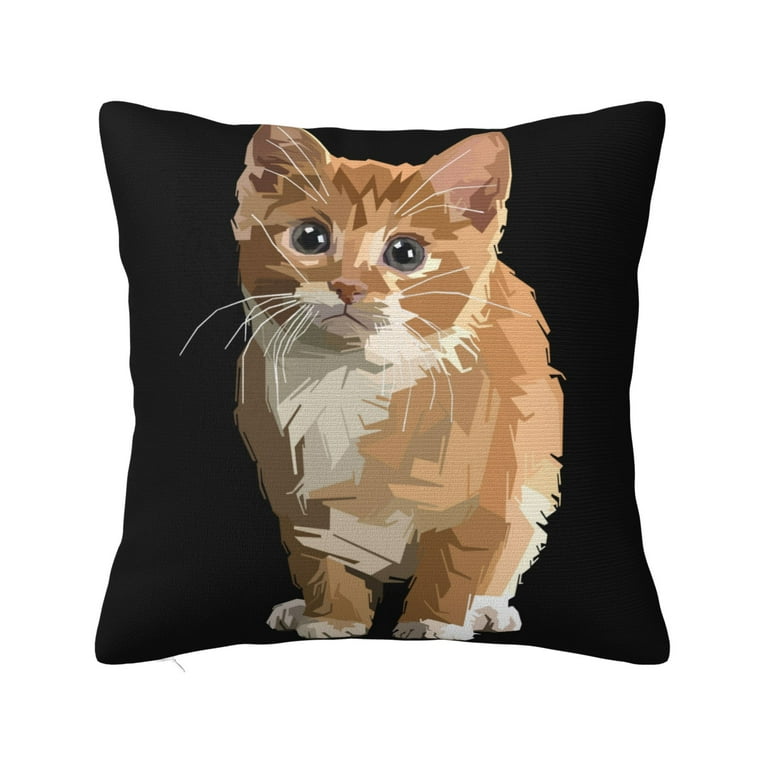 ZICANCN Funny Funny Cat Decorative Throw Pillow Covers, Bed Couch Sofa  Decorative Knit Pillow Covers for Living Room Farmhouse 26x26