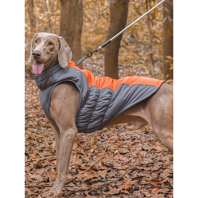 Pet Clothes, Dog Winter Coat, Pet Warm Jacket With Harness Leash Ring, Dog Cold Weather Apparel