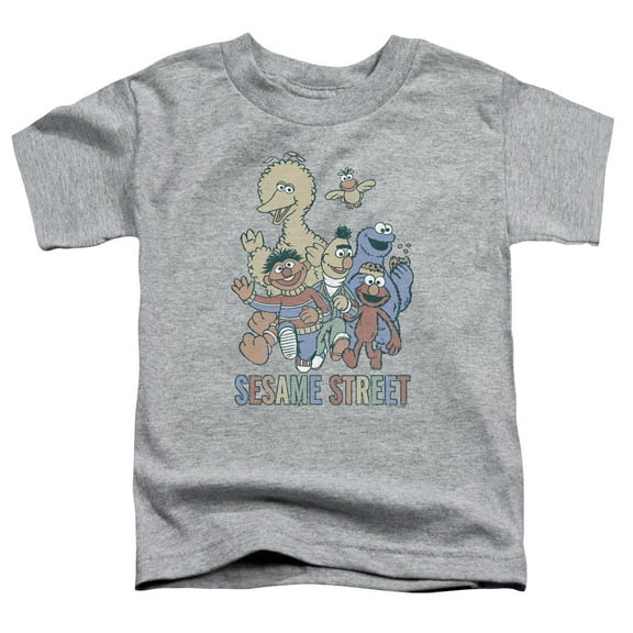 Sesame Street - Colorful Group - Toddler Short Sleeve Shirt - 4T