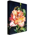 thumbnail image 3 of Trademark Art "Royal Rose" Canvas Wall Art by David Lloyd Glover, 3 of 3