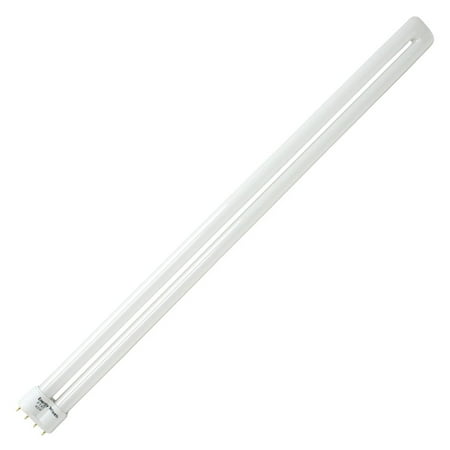 40-Watt Compact Fluorescent Light Bulbs - 10 Bulbs (Cool White)