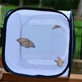 thumbnail image 3 of Butterfly Habitat Insect Cage Mesh Butterfly Cages Pop-up Collapsible Insect Mesh Cage Plant Greenhouse Box Plant Net Cloth, 3 of 8