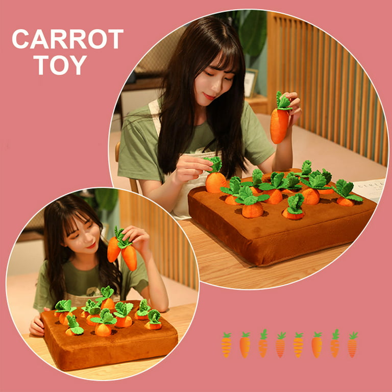 Carrot Field Pet Plushie Toy – Waggy Tails