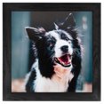 thumbnail image 5 of ArtToFrames 18x22 Inch Black Picture Frame, This Black Wood Poster Frame is Great for Your Art or Photos, Comes with 060 Plexi Glass (4103), 5 of 8