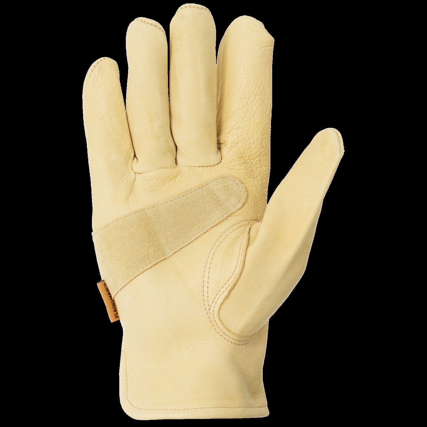 Disposable Grill Gloves Home Depot Pit Boss BBQ Accessory