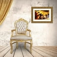 thumbnail image 3 of Satushek, Steve 32x22 Gold Ornate Wood Framed with Double Matting Museum Art Print Titled - USA, Washington, Bellingham, 3 of 4