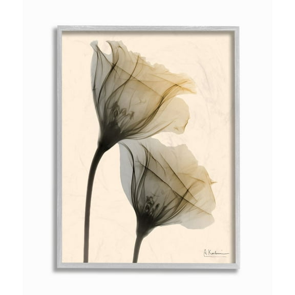 Stupell Industries Neutral Light Flower Photograph Gray Framed Art Print Wall Art, 16x20, by Albert Koetsier