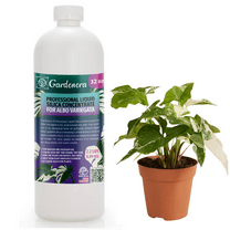 ⭐ PREMIUM Bioavailable Silica Fertilizer for Albo Variegata – 32oz – Ideal for Hydroponics & Soil – Healthier Plants with Strong Stalks - CONCENTRATE