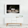 thumbnail image 2 of Banff's Majestic Elk - Banff Alberta Canada Photography Nature Wildlife Rustic Forest Scenic Animal Winter White Framed Wall Art Print 12 x 18 inches, 2 of 3