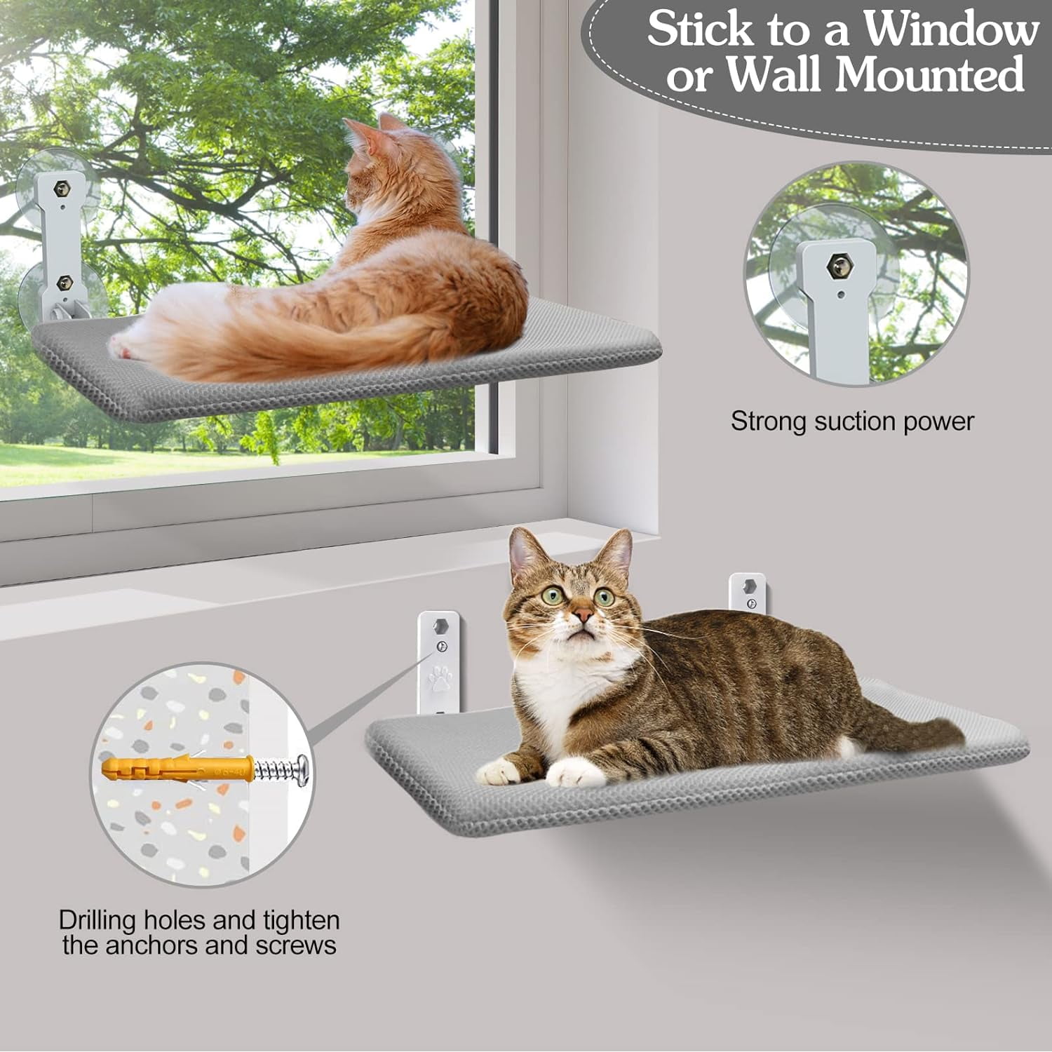 Cat resting on a gray window perch