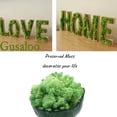 thumbnail image 3 of Moss Preserved Artificial Moss 8.8 oz Natural Fresh Green Moss for Craft Arts Floral Project Wall Decor Table Decor Wedding Centerpieces Garden Terrariums Decoration, 3 of 6