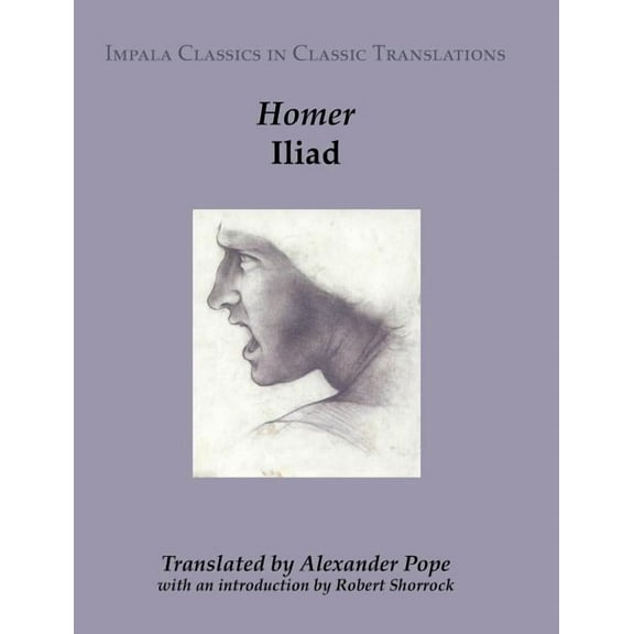 Iliad (Paperback)