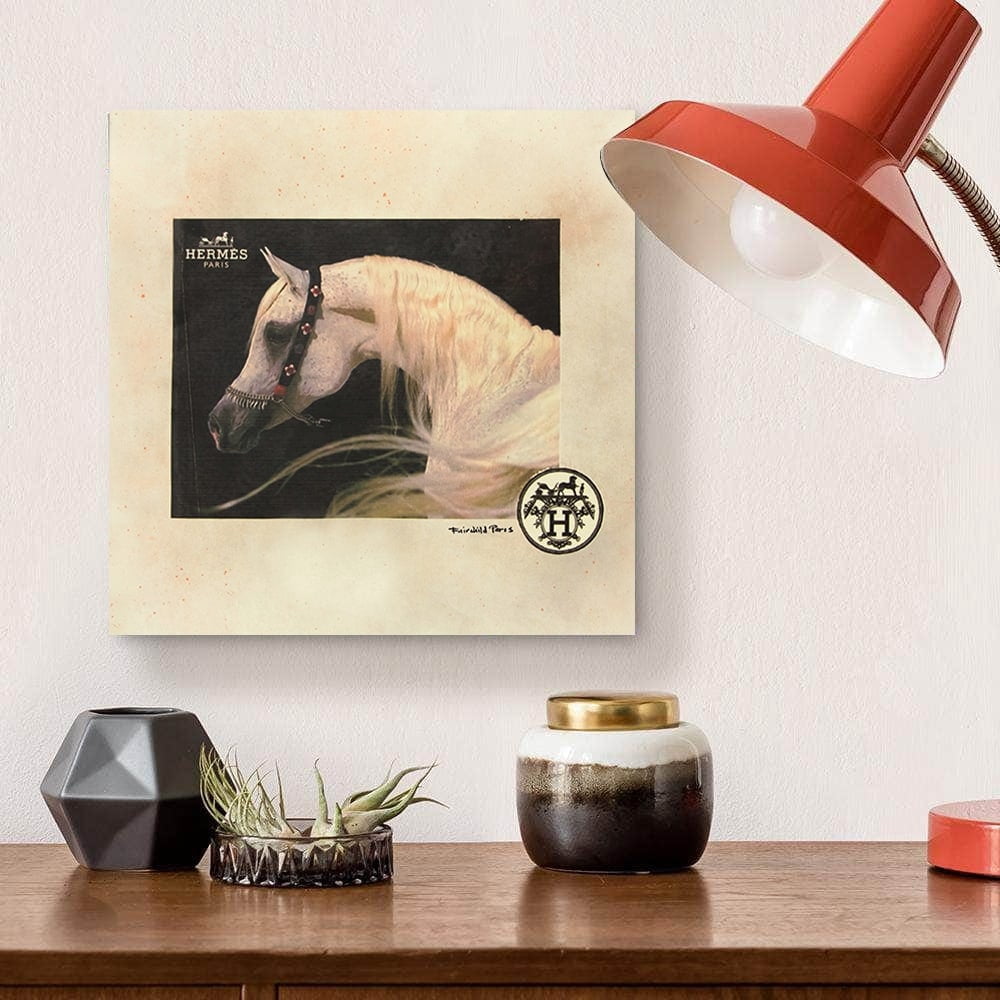 BEAUTIFUL FASHION WHITE HORSE - 14"x14" Canvas Artwork - Multi-Color 16 x 20