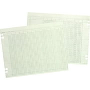 Wilson Jones, WLJG1024, Prepunched Ledger Paper Sheets, 100 / Pack