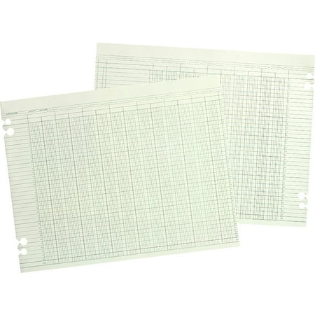 Wilson Jones, WLJG1024, Prepunched Ledger Paper Sheets, 100 / Pack