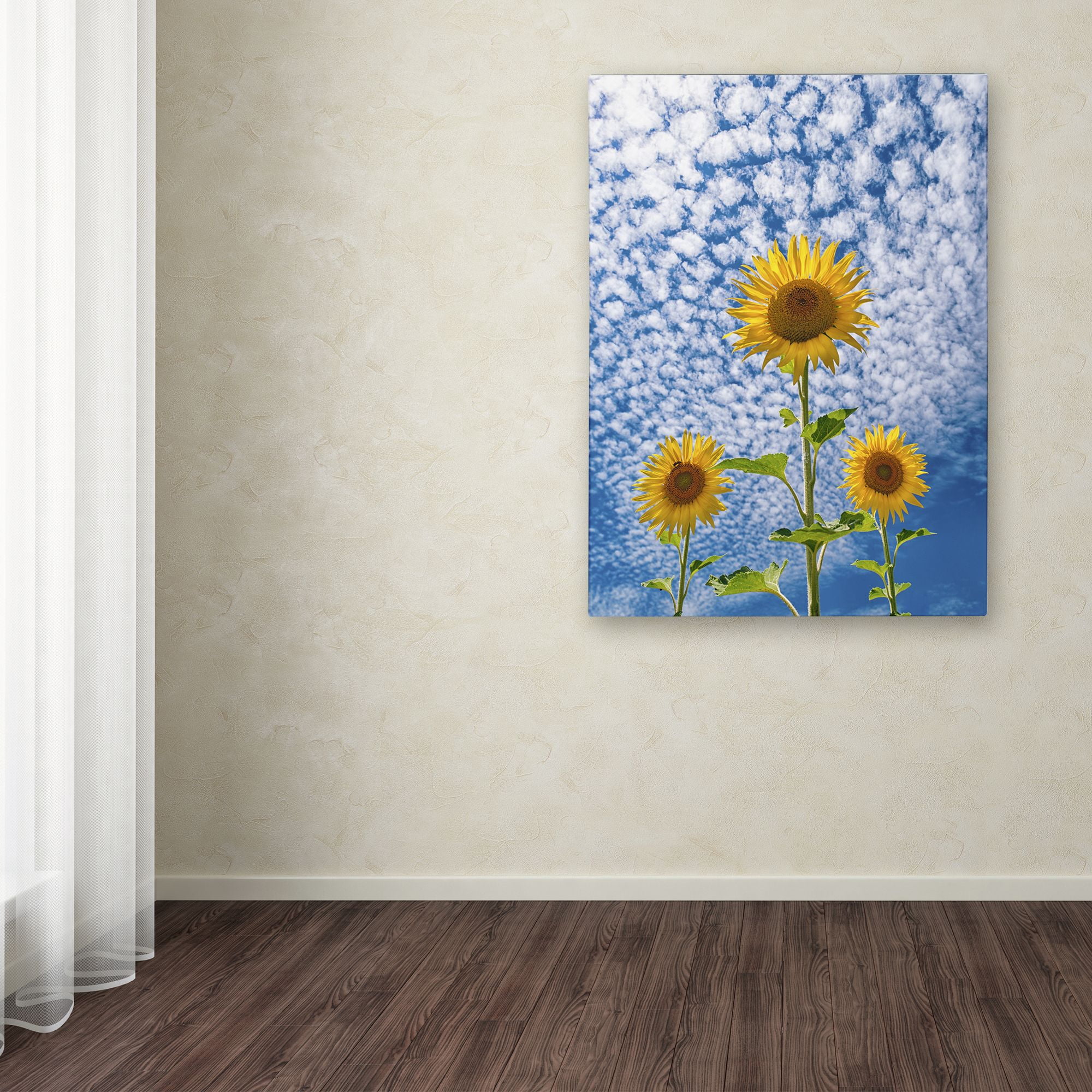 Trademark Fine Art 'Sunflower Triad' Canvas Art by Michael Blanchette Photography
