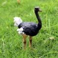 thumbnail image 2 of Figuras de acción de simulación de aves, animales, búho, flamenco, avestruz, loro, águila, guacamayo escarlata, pavo real, tucán, albatros, juguetes en miniatura, 2 of 5
