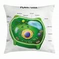 thumbnail image 1 of Educational Throw Pillow Cushion Cover, Plant Cell Biology Research Botany Anatomy Structure Organic Life Nature, Decorative Square Accent Pillow Case, 24 X 24 Inches, Green Pale Blue, by Ambesonne, 1 of 2