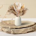 thumbnail image 4 of AHIX Natural Dried Pampas Grass Decor 85 Pcs Boho Farmhouse Decor 17'' Assembled Tall Multicolor, 4 of 14