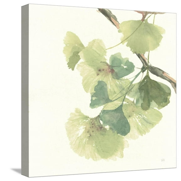 Art.com Gingko Leaves II Light Stretched Canvas Print Wall Art by Chris Paschke, 16" x 16"